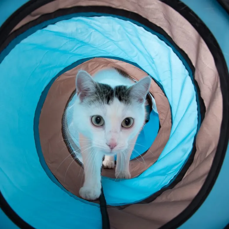 Kattetunnel Connect 2i1