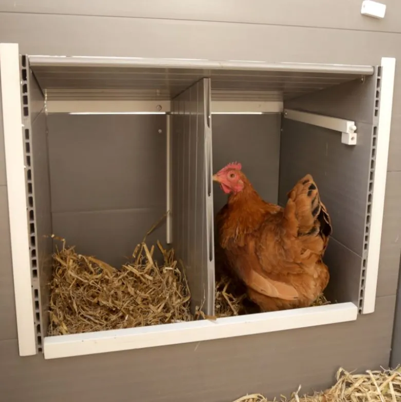 Kerbl Hobbyfarming ECO plasthus Barney til høns