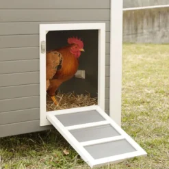 Kerbl Hobbyfarming ECO plasthus Barney til høns