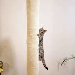 Kerbl klatrepose Climber til katte