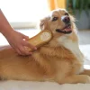 Kerbl MagicBrush Soft Sandstorm til hunde