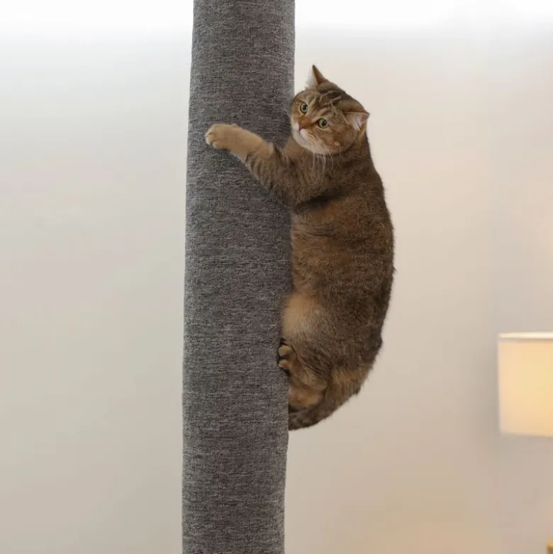 Kerbl Pet klatresæk Carpet til katte