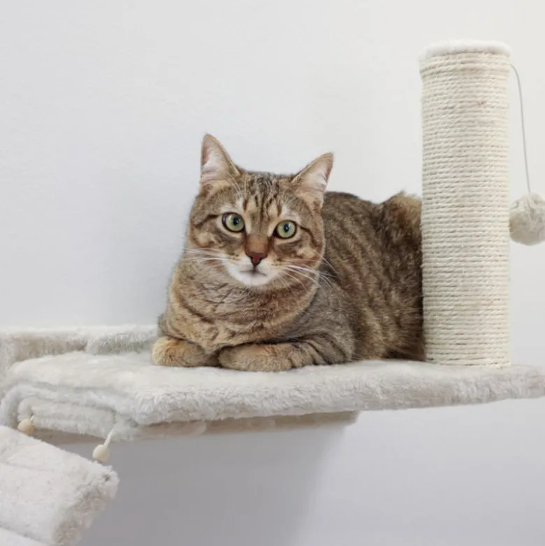 Kerbl Pet klatrevæg Matterhorn til katte, beige