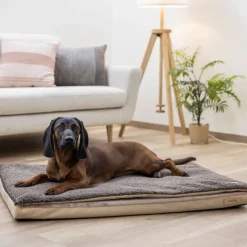 Kerbl Pet multifunktionel madras