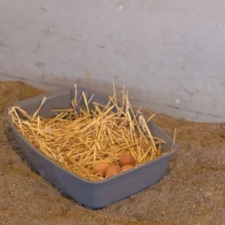 Kerbl Redekasse til høns