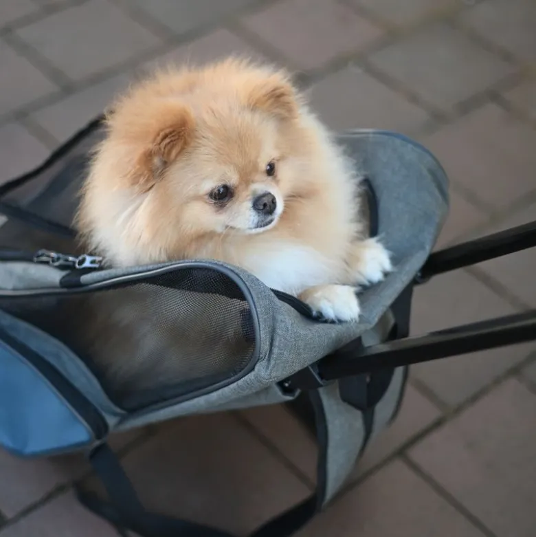 Kerbl Transporttaske til kæledyr Trolley Vacation