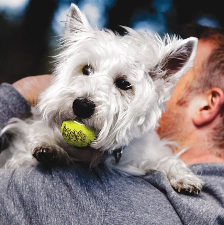 KONG AirDog Squeaker tennisbold med piv