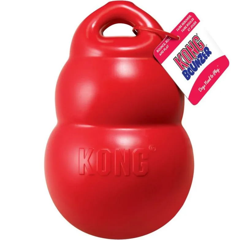 KONG Bounzer