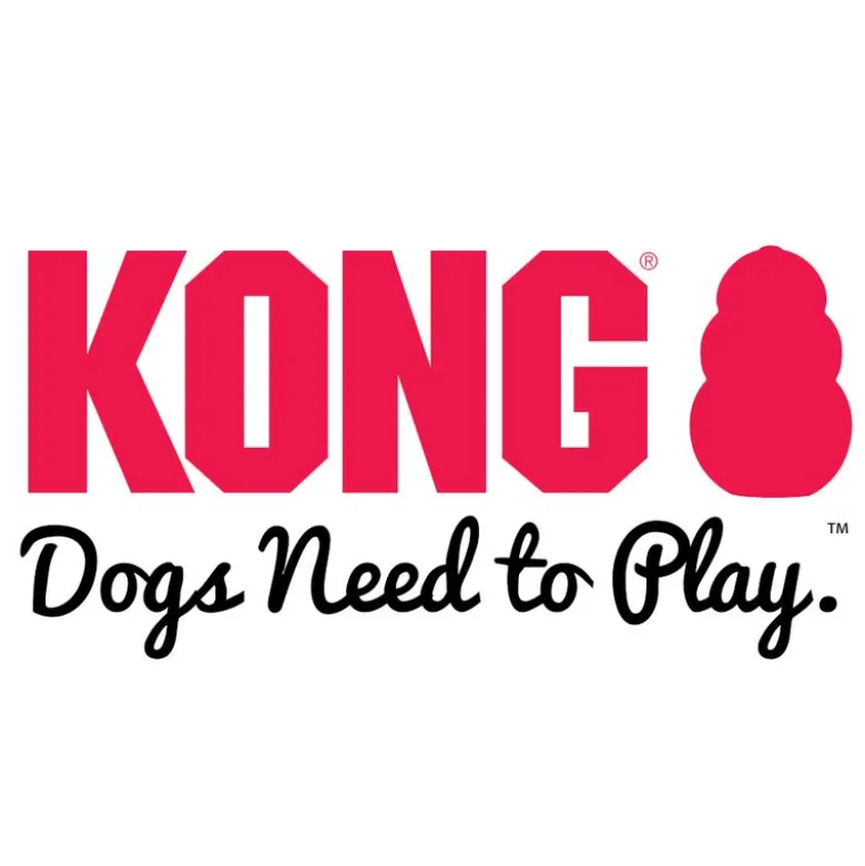 KONG Bounzer