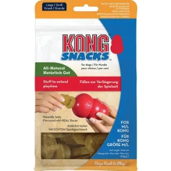 KONG Classic