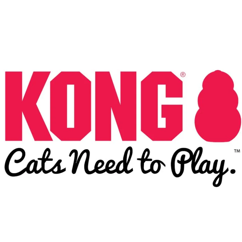KONG Connects Window Teaser
