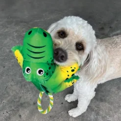 KONG Cozie Tuggz hundelegetøj Alligator
