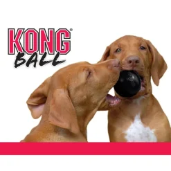 KONG Extreme Ball