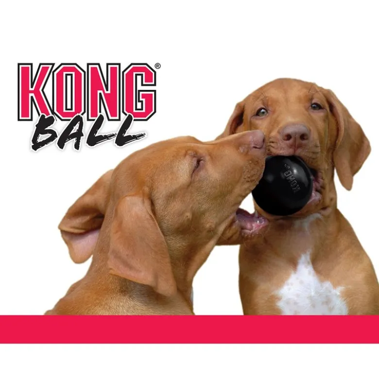 KONG Extreme Ball