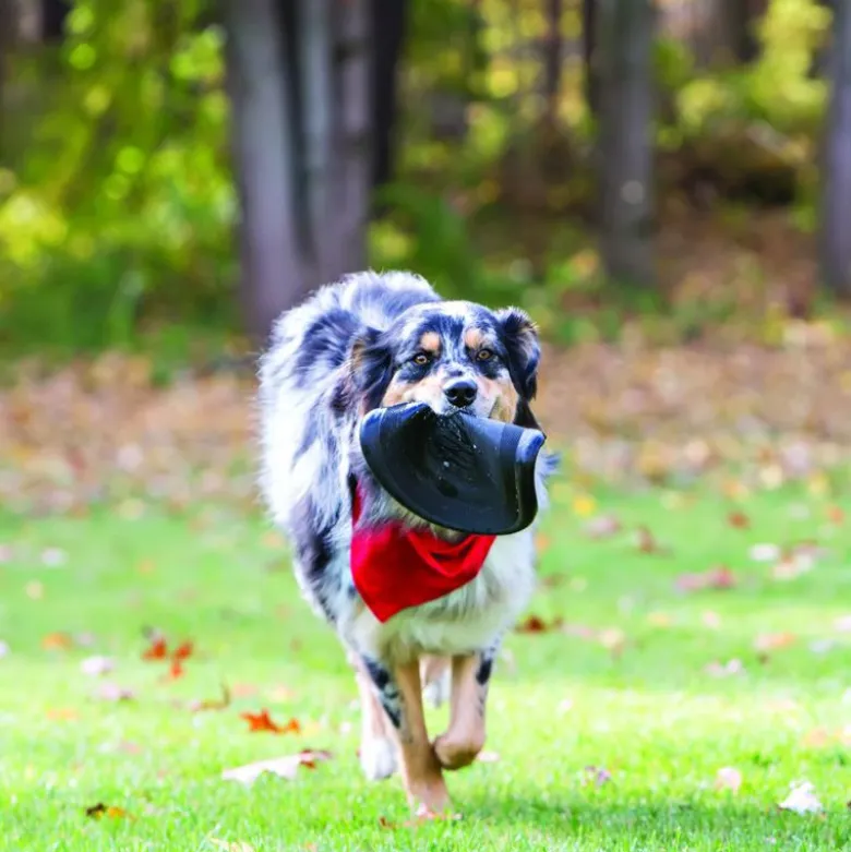 KONG Extreme Flyer hunde-frisbee