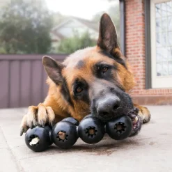 KONG Extreme Goodie-bånd