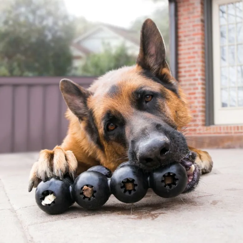 KONG Extreme Goodie-bånd