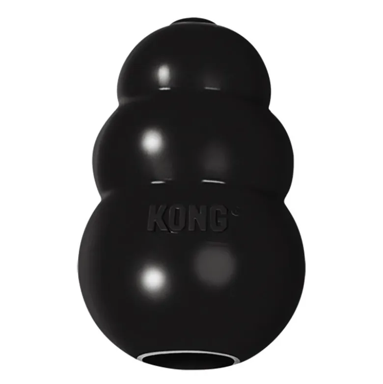 KONG Extreme sæt
