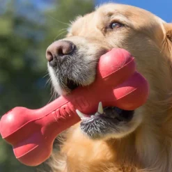 KONG Goodie Bone