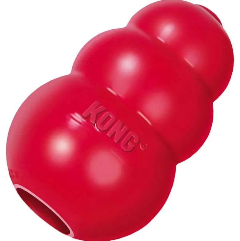 KONG økonomisæt: Frisbee, KONG Classic, tennisbolde