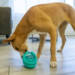 KONG Licks Rewards hundelegetøj