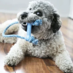 KONG Puppy Goodie Bone med reb