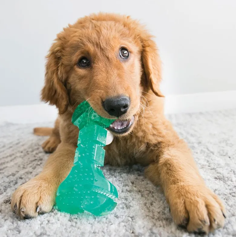 KONG Puppy Squeezz Dental Stick (M)