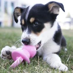 KONG Puppy tyggelegetøjs-sut