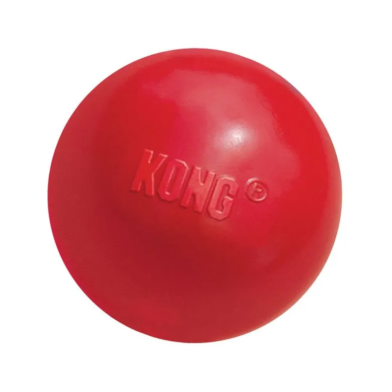 KONG snackbold med hul