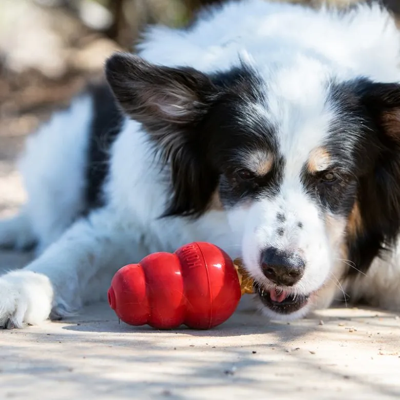 KONG Snacks til hunde - Lever