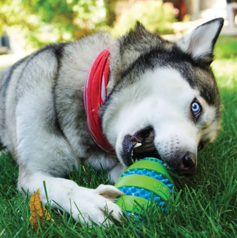 KONG Squeezz® Goomz Ball