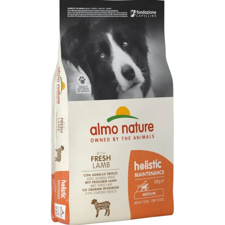 Økonomipakke: Almo Nature Holistic 2 x 12 kg