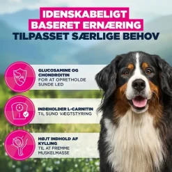 Økonomipakker: Eukanuba Adult Breed Specific tørfoder