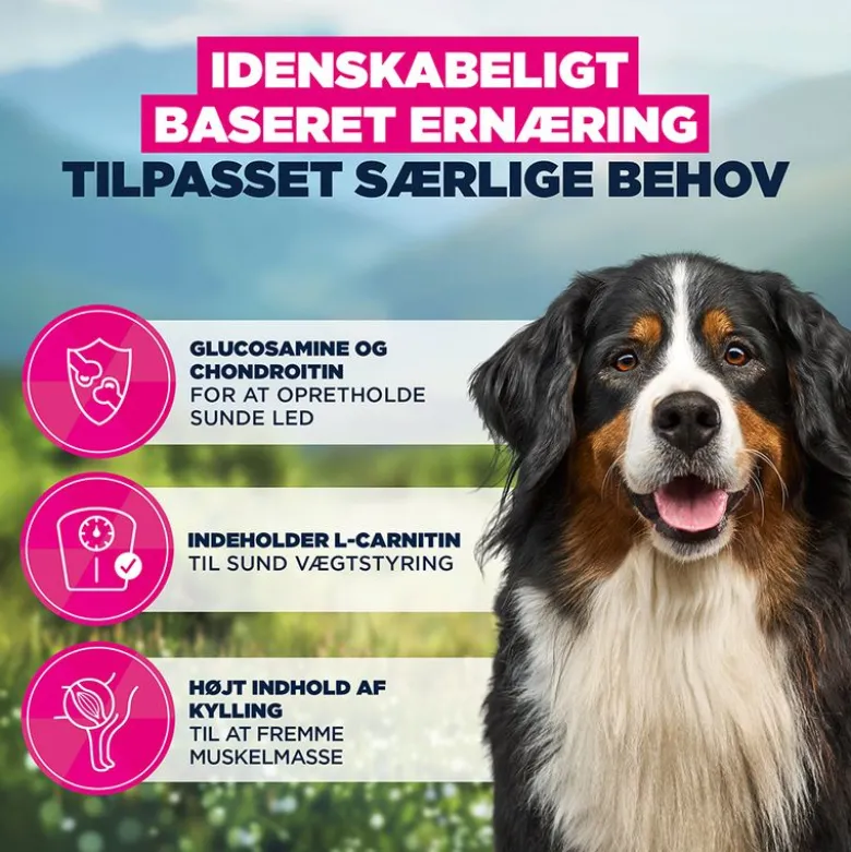 Økonomipakker: Eukanuba Adult Breed Specific tørfoder