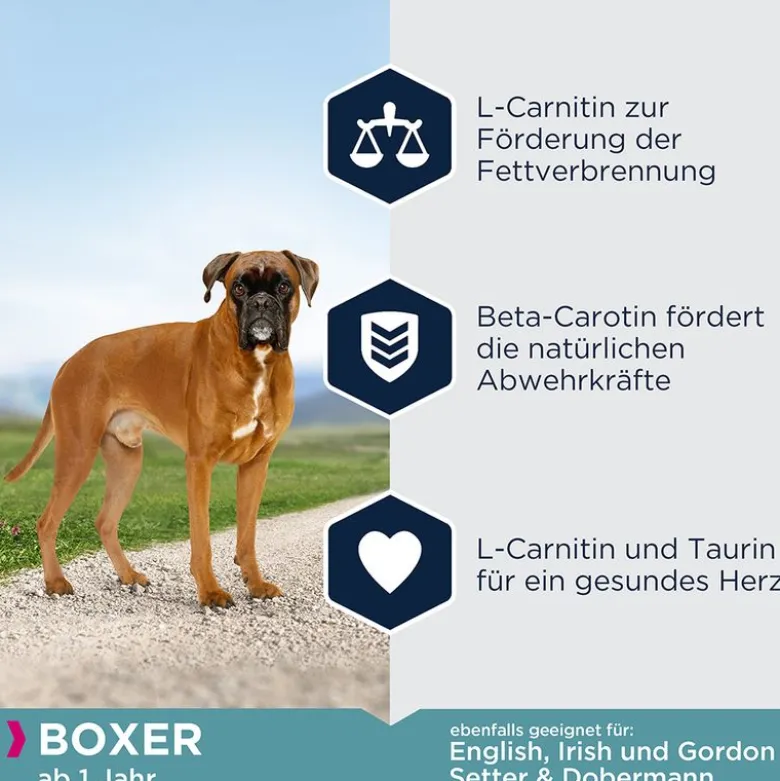 Økonomipakker: Eukanuba Adult Breed Specific tørfoder
