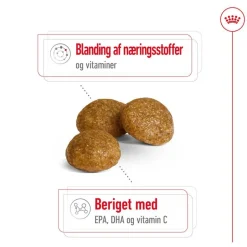 Økonomipakke: 2 store poser Royal Canin Size hundetørfoder