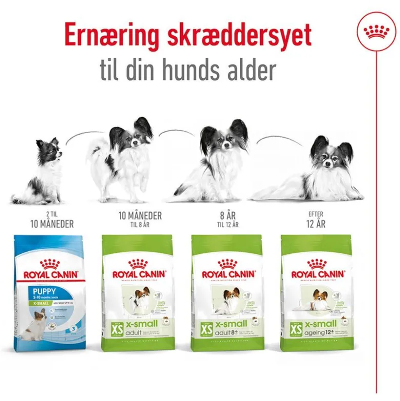 Økonomipakke: 2 store poser Royal Canin Size hundetørfoder