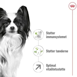 Økonomipakke: 2 store poser Royal Canin Size hundetørfoder