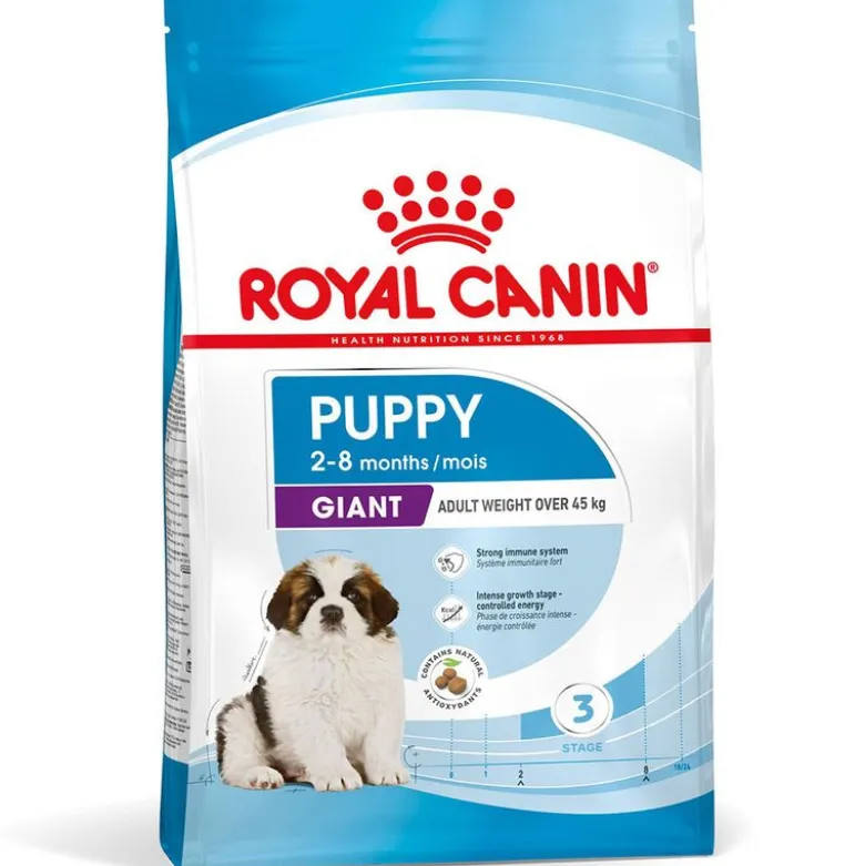 Økonomipakke: 2 store poser Royal Canin Size hundetørfoder