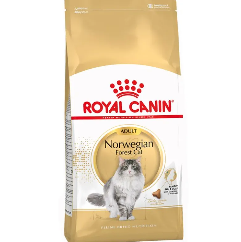 Økonomipakke: 2 store poser Royal Canin kattetørfoder