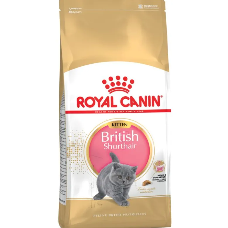 Økonomipakke: 2 store poser Royal Canin kattetørfoder