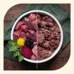 Økonomipakke: 24 x 800 g animonda GranCarno Adult Single Protein Superfoods