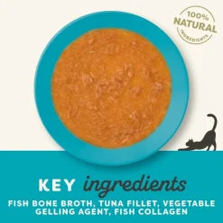 Økonomipakke: 24 x 85 g Applaws Bone Broth