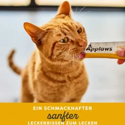 Økonomipakke: 32 x 15 g Applaws Creamy Treat