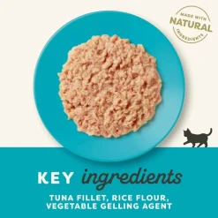 Økonomipakke: 24 x 70 g Applaws Kitten dåser i gelé