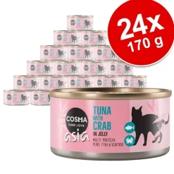 Økonomipakke: 24 x 170 g Cosma Asia i gelé