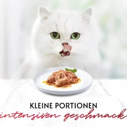 Økonomipakke: 24 x 50 g Gourmet Mon Petit
