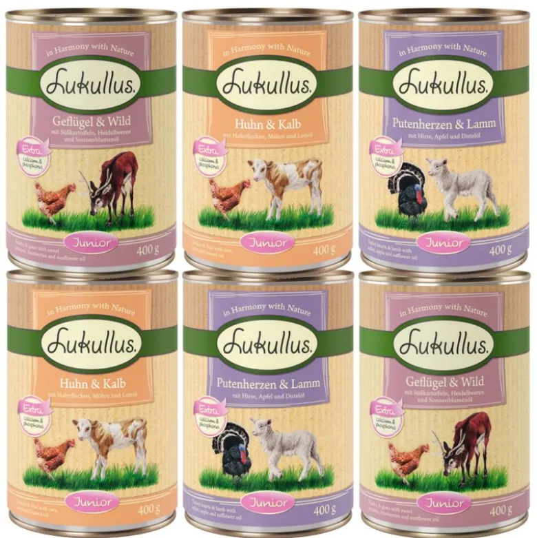 Økonomipakke: 24 x 400 g Lukullus Adult