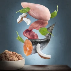 Økonomipakke: 24 x 200 g Purizon Adult