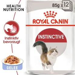 Økonomipakke: 48 x 85 g Royal Canin